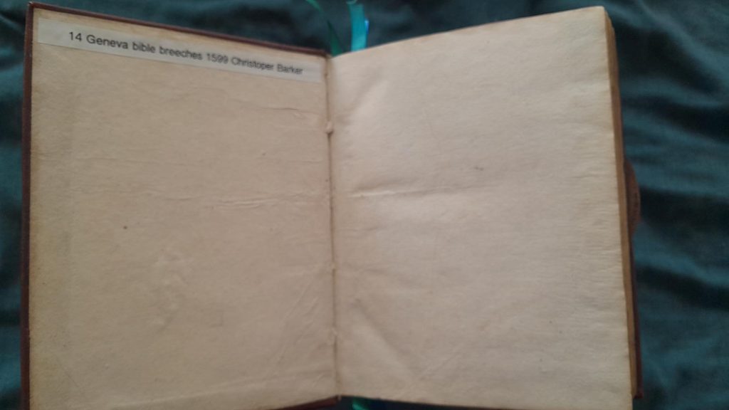Geneva Breeches Bible 1599